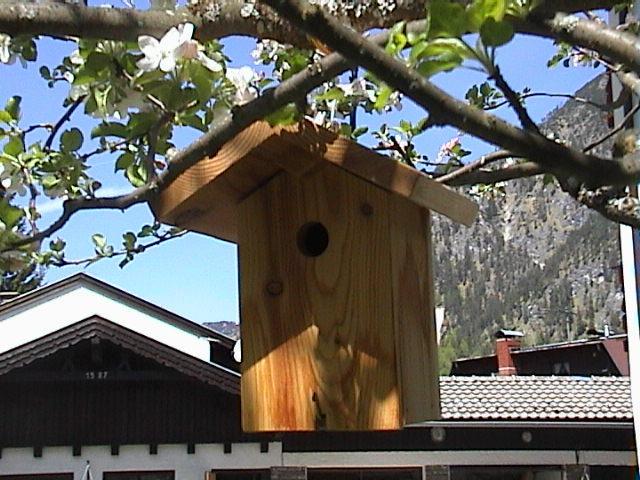 Haus Waldfriede Daire Pertisau Dış mekan fotoğraf