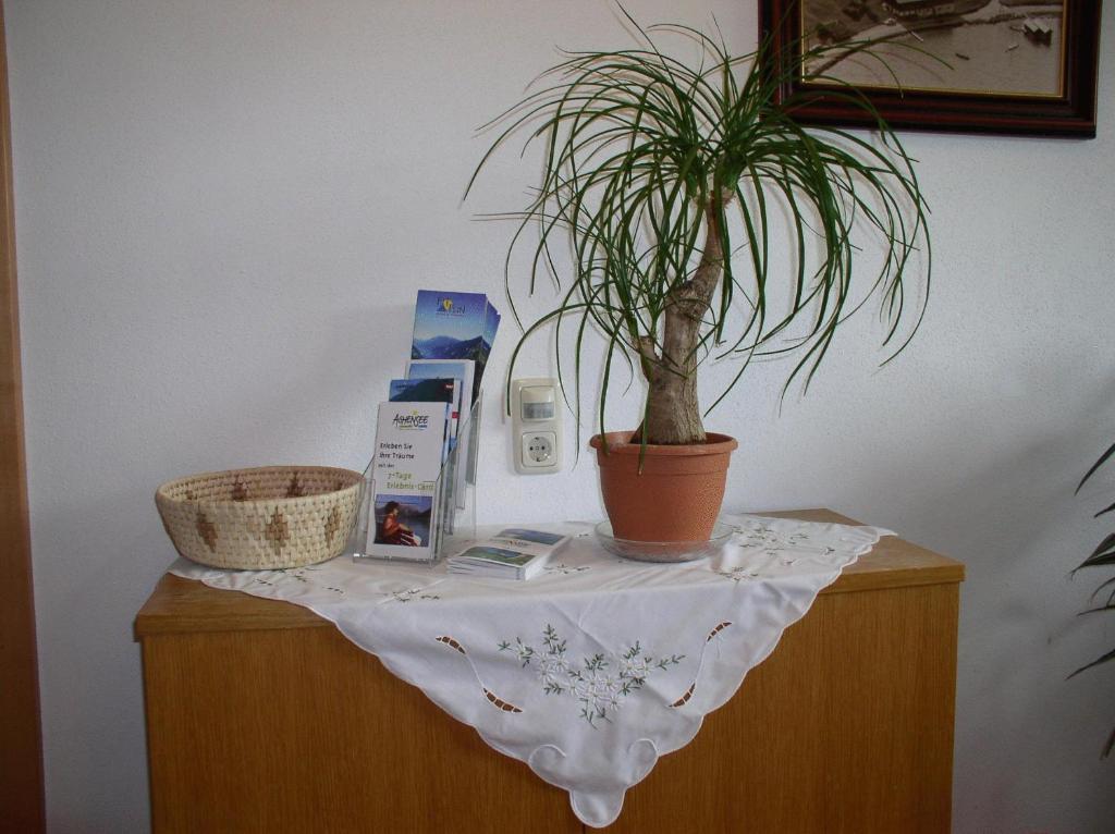 Haus Waldfriede Daire Pertisau Dış mekan fotoğraf